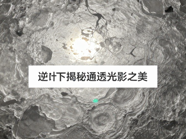 逆光视角的视觉重构