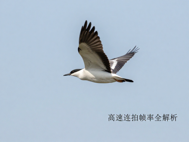 快门速度的科学设定与运动模糊控制
