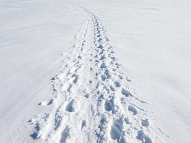 透视线条运用,雪原足迹痕迹引导道路与小径的视觉延伸