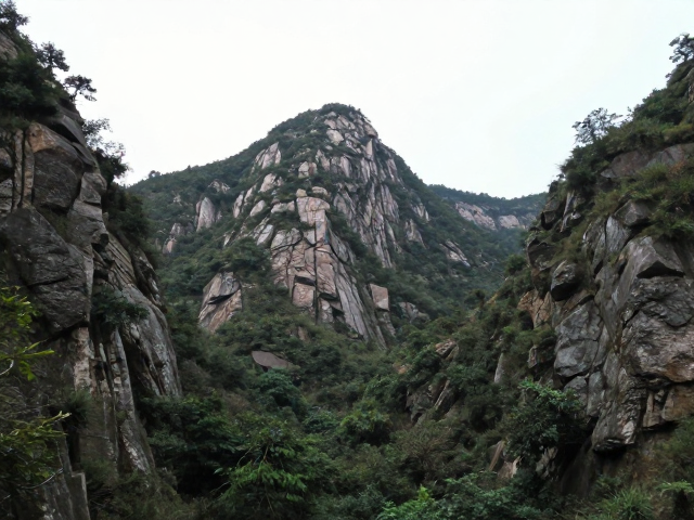 自然纪录片拍摄技巧,利用山石植被与前景引导打造电影感画面
