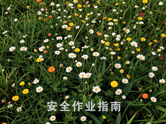 后期处理中的色彩还原与细节重塑