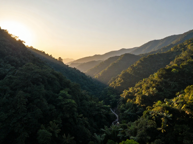 山谷林间实拍,黄金时刻日出日落,邂逅极致清新自然风
