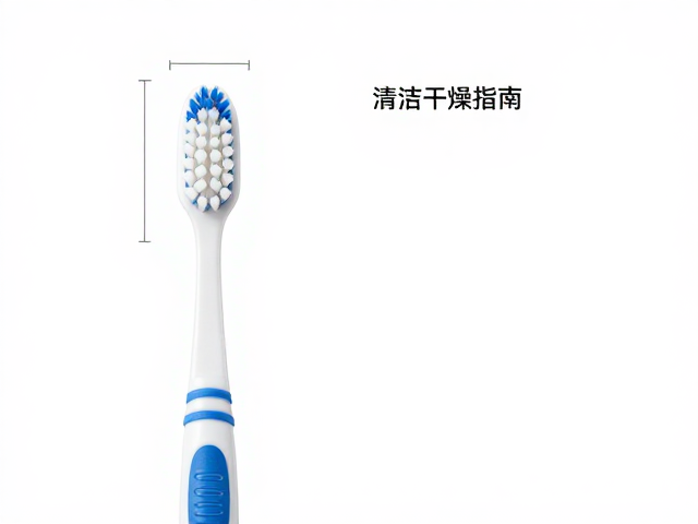刷头尺寸与人体工学设计