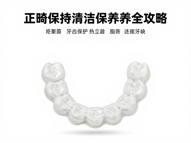 定期检查与专业维护的重要性