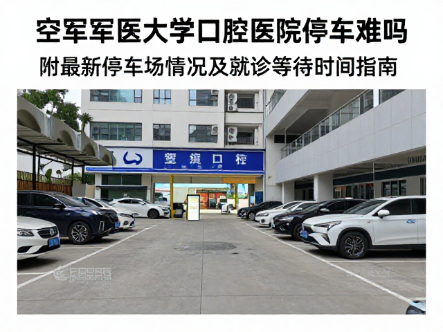 院内停车场实时情况与替代方案