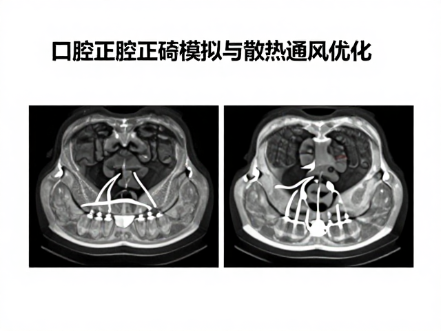 设备维护与长期运行保障