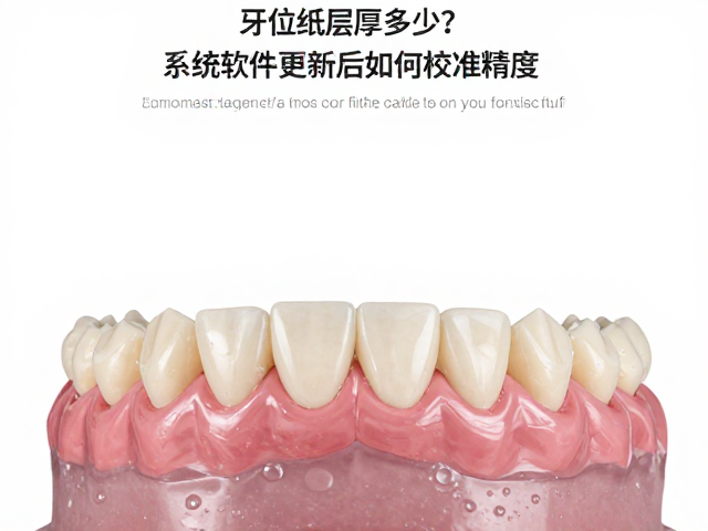 牙位纸层标准厚度解析