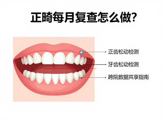 牙齿松动度的临床检测逻辑与生理机制