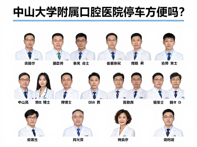 专家教授与博士硕士团队构成解析