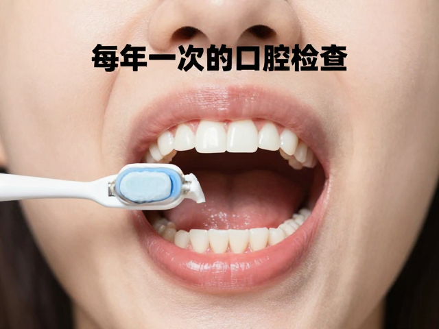 日常清洁技巧与牙周维护的关键动作