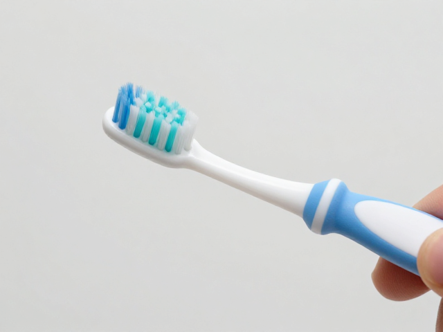 日常维护与口腔卫生闭环