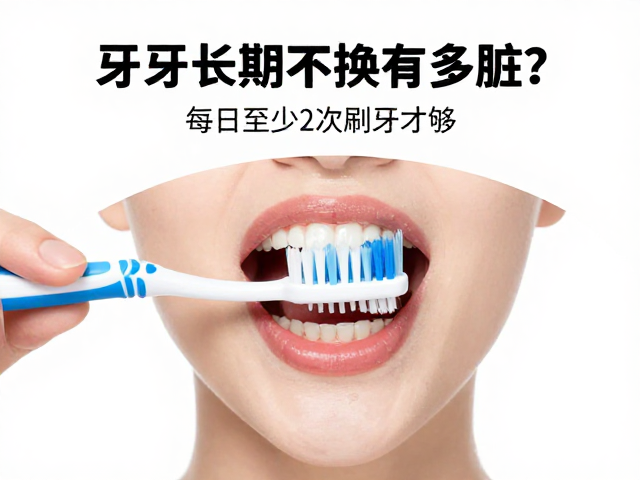 每日刷牙频率与口腔健康的基础防线