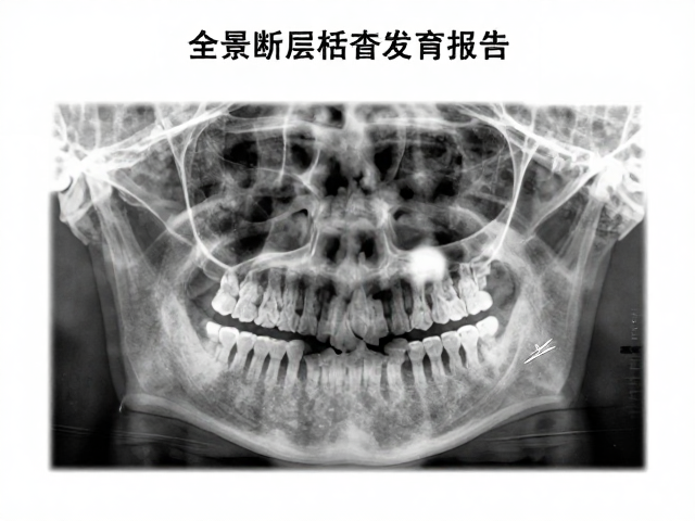 解读发育报告：关键指标与临床意义