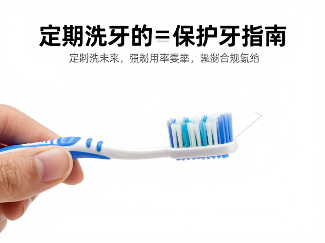 专业维护：定期洗牙的科学依据与频率