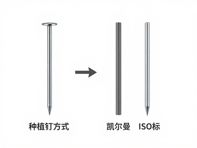 定位杆的选择策略与临床适配性