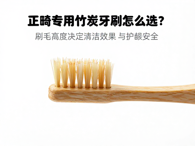 刷毛高度与牙龈保护的物理关联
