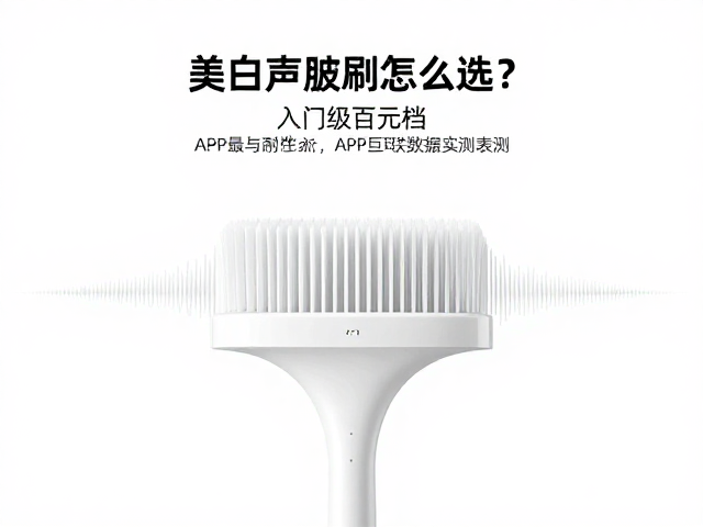 实测数据下的清洁效率与耐用性表现