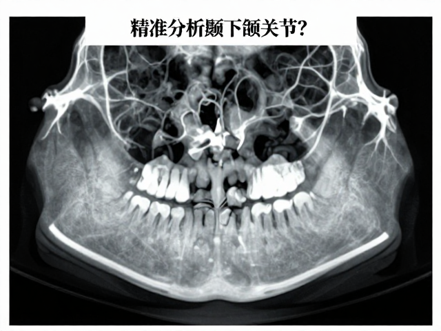 多模态融合下的精准分析逻辑