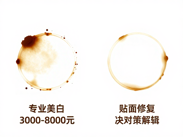 两种方案的核心差异与决策逻辑