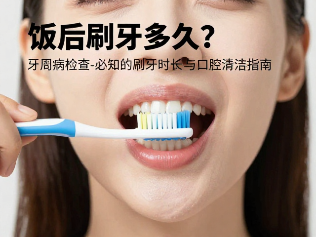牙刷选择与刷牙手法的关键细节