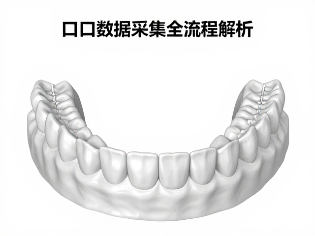 三维重建与咬合分析的软件处理