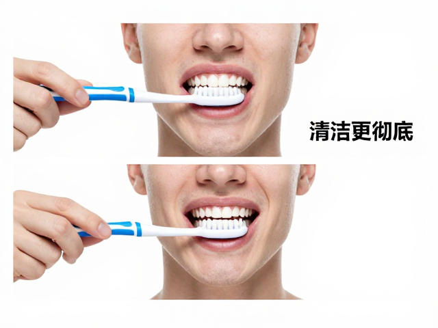 横向刷牙的误区解析与危害