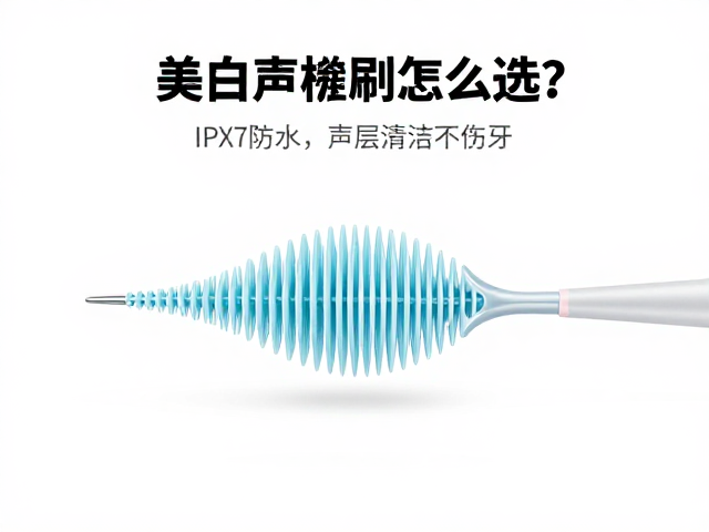 日常维护与使用寿命的科学管理