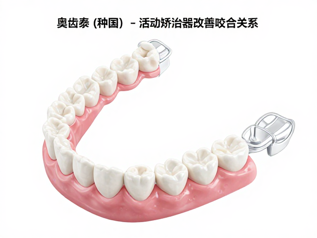 综合方案的临床实施路径