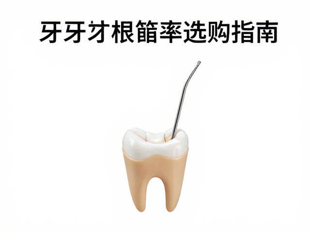 托槽底座的粘接设计与临床操作适配性