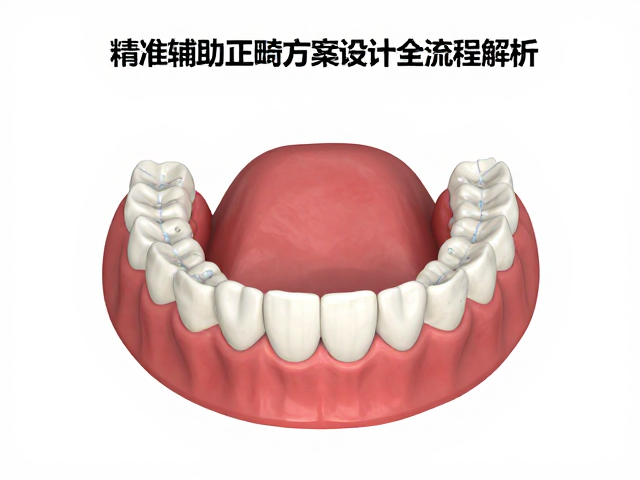 精准测量与骨骼关系分析：正畸设计的量化基础