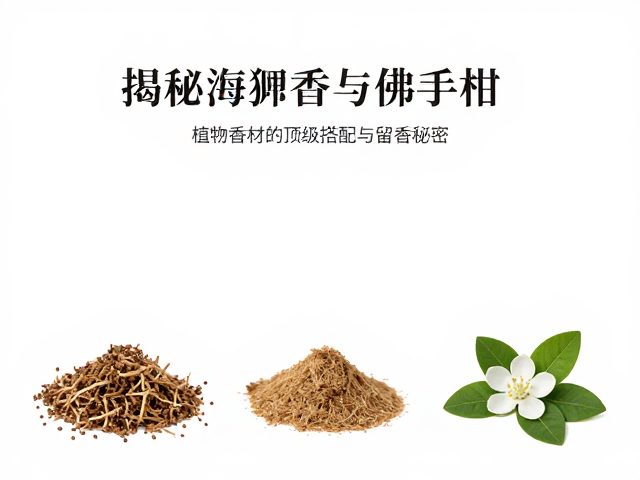 海狸香与佛手柑的嗅觉基因解析