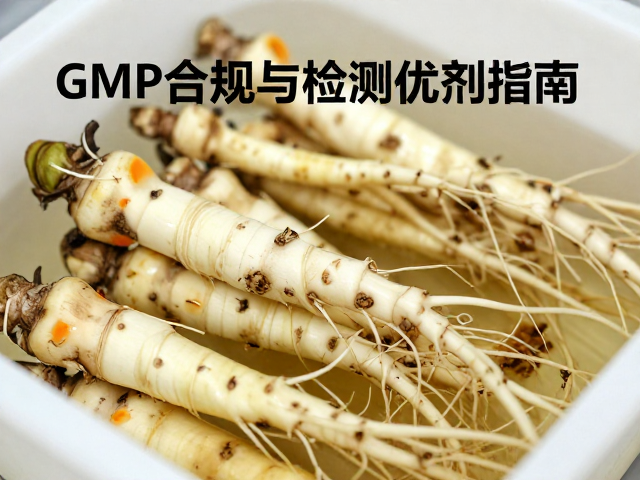 质量控制体系与持续改进机制