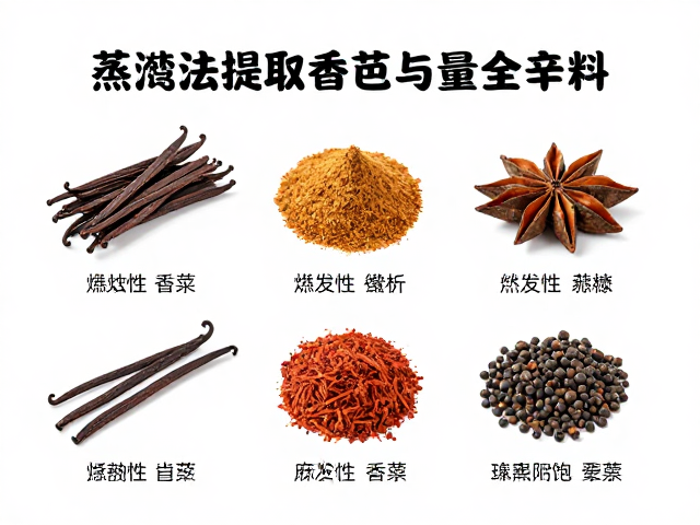 提取物的成分解析与特性