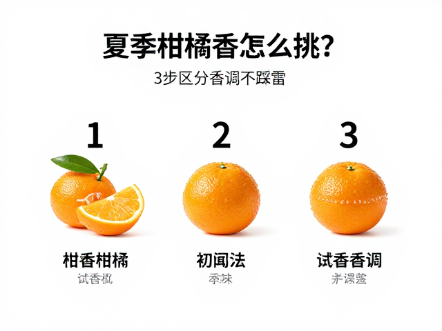 初闻三步法解析