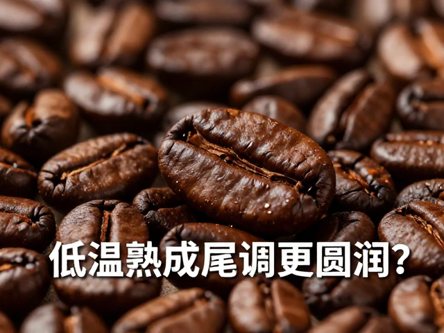 低温熟成尾调更圆润？光照氧化如何影响咖啡风味
