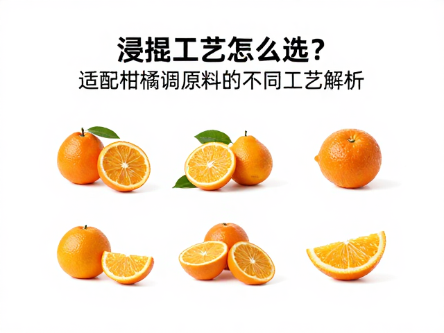 酶解辅助浸提的增效机制