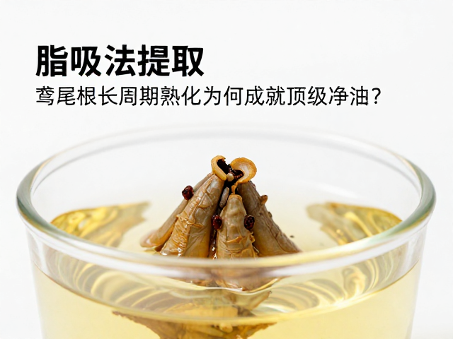 溶剂置换与分子保留的精密博弈