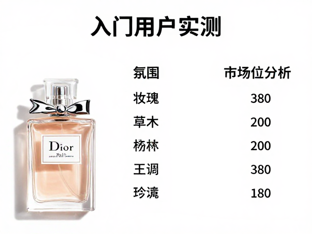价格体系与市场定位分析