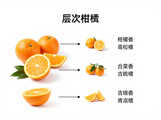 经典柑橘香材的层次解析与搭配逻辑