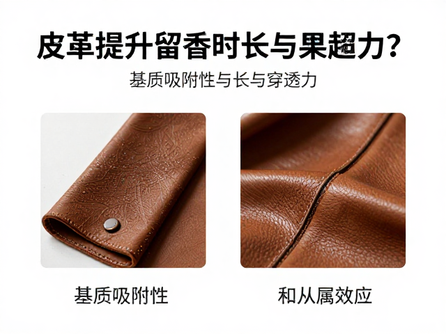 基质吸附性与载体选择的从属效应