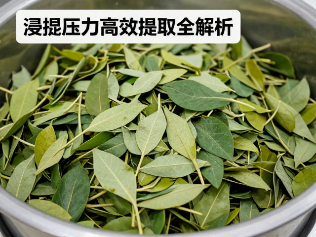 浸提压力对细胞壁破裂与有效成分释放的物理机制