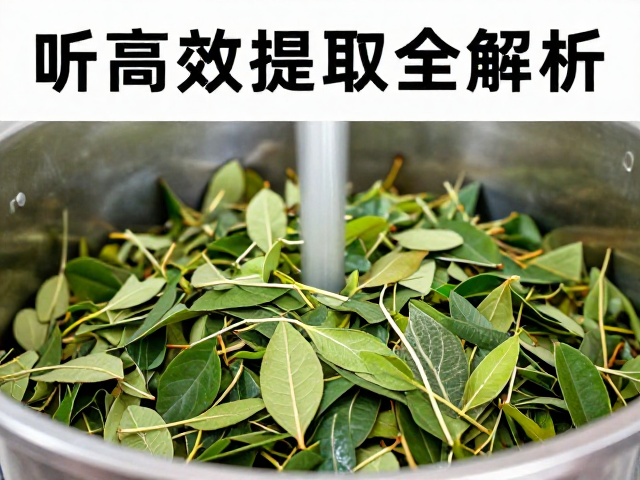 压力波动对提取效率与过程控制的影响