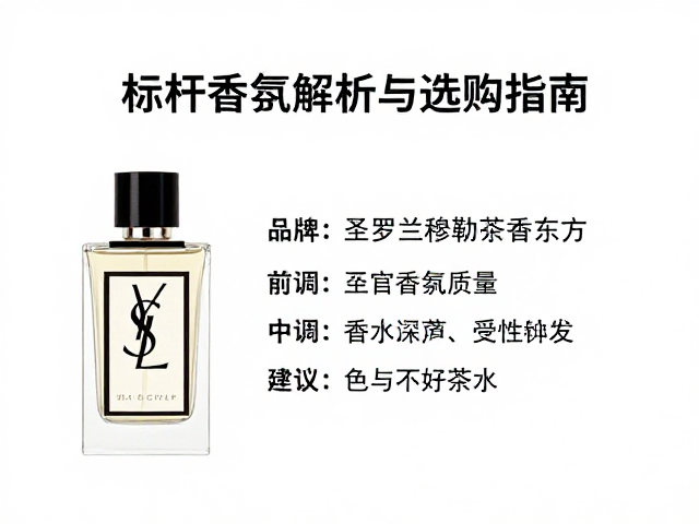 选购考量与感官体验建议