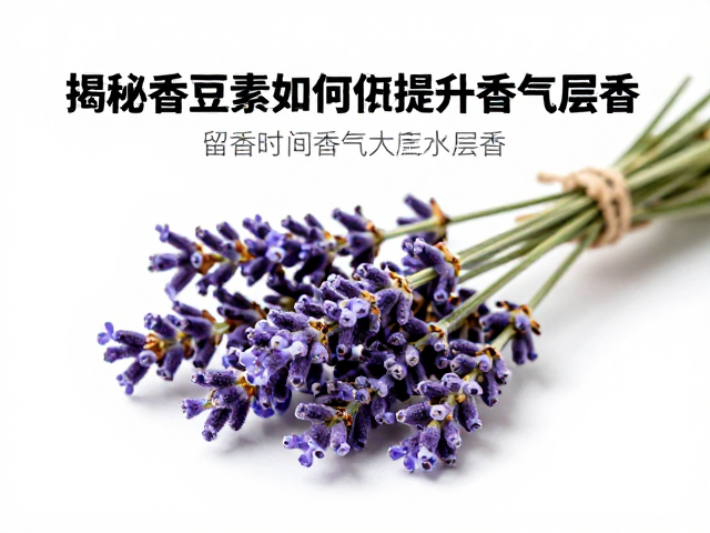 留香时间与香气持久度的科学解析