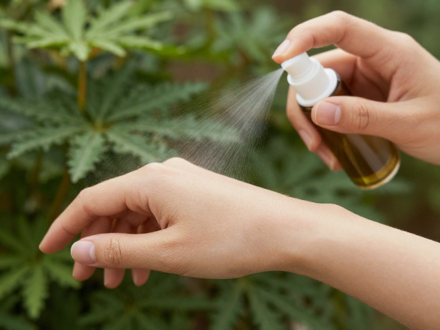 广藿香的喷洒技巧与手腕穴位选择