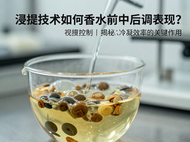 浸提技术的物理化学机制与香气分子保留