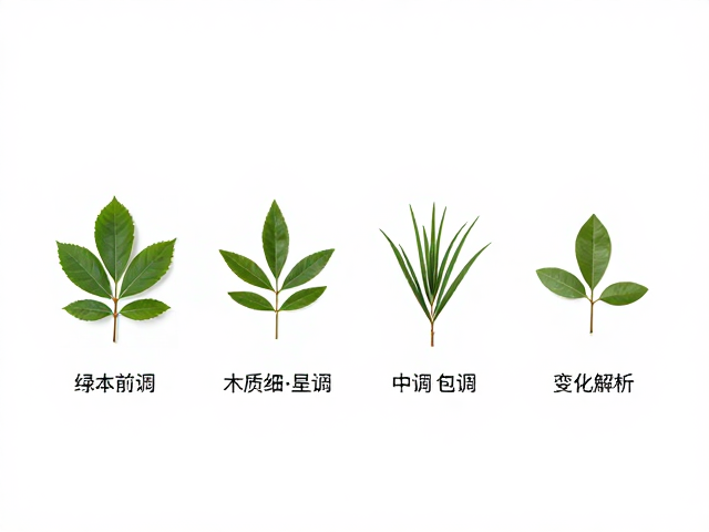 高级感香水的构建逻辑