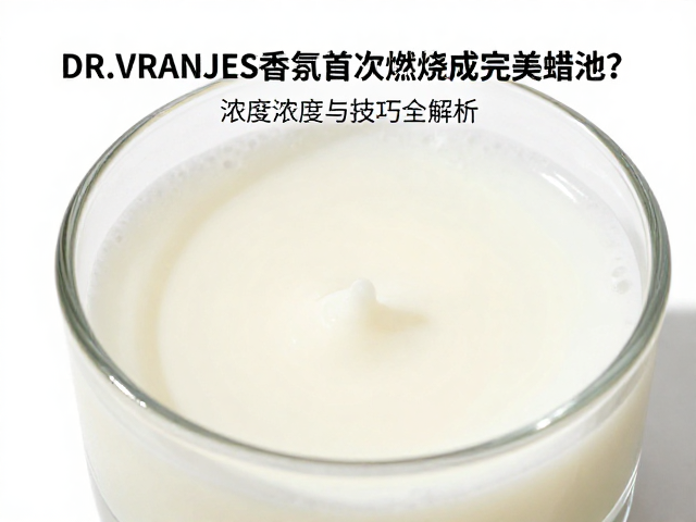 环境因素与摆放技巧的影响