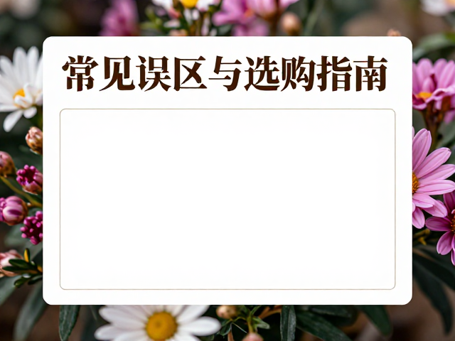 常见误区与避坑指南
