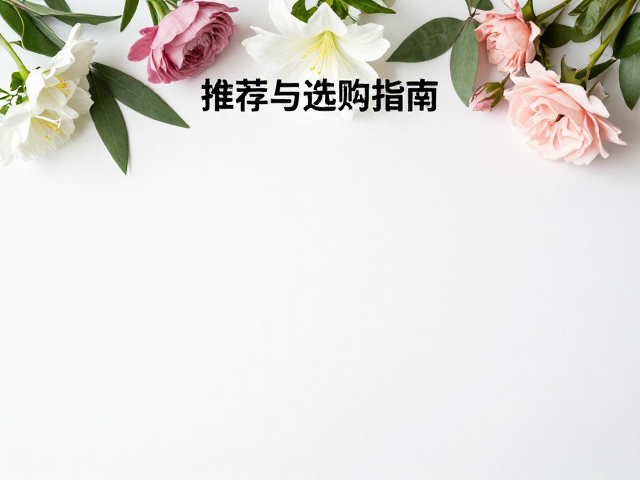 选购与识别的核心逻辑
